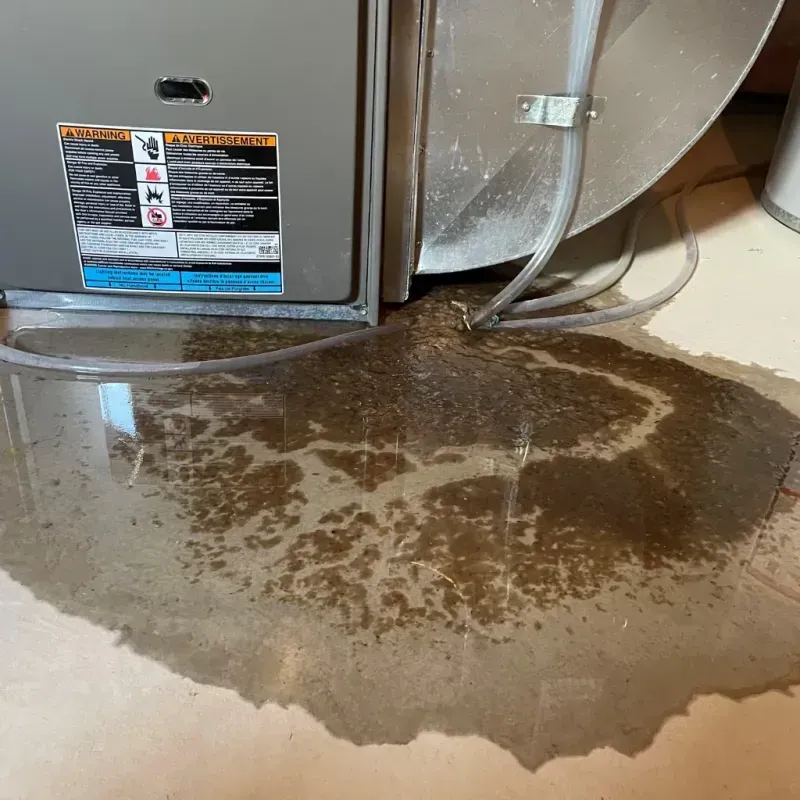 Appliance Leak Cleanup in Brookston, IN